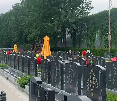 河北万寿园地址